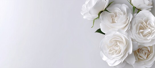 Delicate white roses bouquet on white backdrop