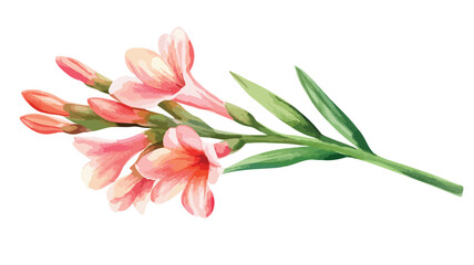 Naklejka premium Elegant Watercolor Tuberose Flower Isolated on White Background EPS