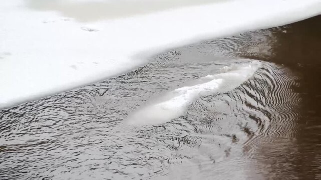 Ice drift on the river flooding global warming snow melting Clean Water Flow