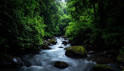 Obraz premium Río de aguas oscuras que fluye a través de un exuberante bosque verde