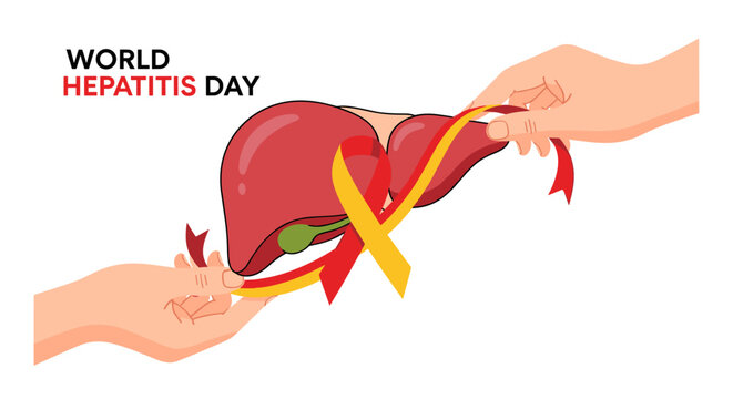 Hands gently hold a stylized human liver adorned with red and yellow ribbons, symbolizing support for World Hepatitis Day awareness.
