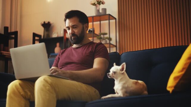 Cute small dog lying on sofa near male owner working on laptop, pet friendship