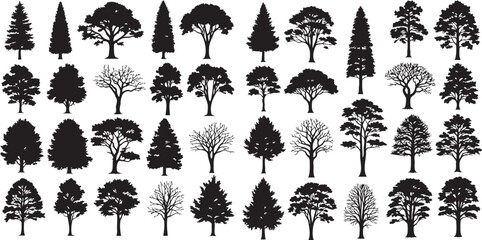 Tree Silhouette Vector Set Variety of Forest Pine tree Silhouettes, wild nature trees templates