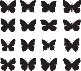 set of butterflies -set of butterflies isolated, butterfly, insect, nature, wing, vector, fly, animal, beauty, set, black, wings, summer, illustration, design, yellow, collection, art, spring, color, 