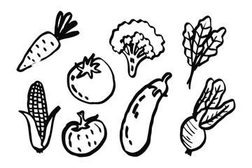 Vegetable Variety: A collection of hand-drawn vegetables, including a vibrant carrot, juicy tomato, and others, creating a charming depiction of the bounty of nature's harvest.