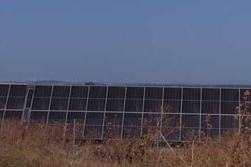 Solar panels are generating sustainable energy, with visible wind turbines on the horizon, contributing to a cleaner future
