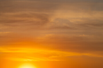 summer morning, dawn over a field with grass, sky without clouds