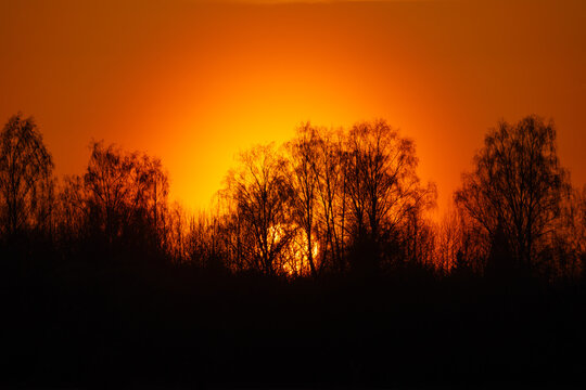summer morning, dawn over a field with grass, sky without clouds
