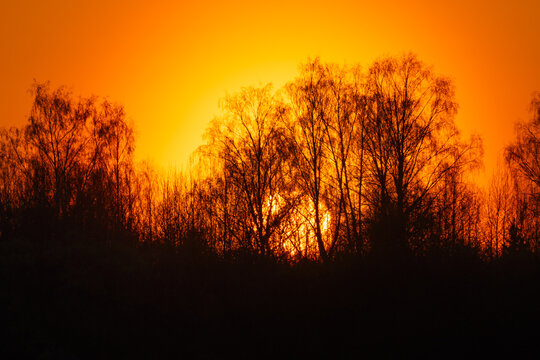 summer morning, dawn over a field with grass, sky without clouds