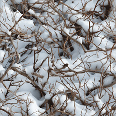 Snow covers bare branches. Snow Camouflage with Winter background for seasonal designs, Hunting Gear, nature and seasonal blogs, or web use.