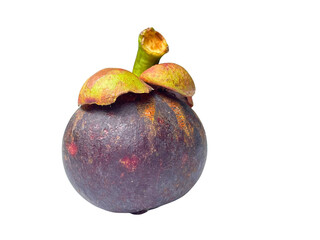 Single Mangosteen Fruit: Purple Tropical Delight on Transparent Background