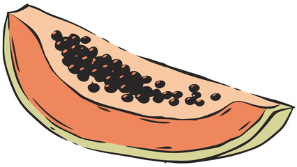 Watercolor papaya slice with orange gradient flesh and black seed dots, blank background.


