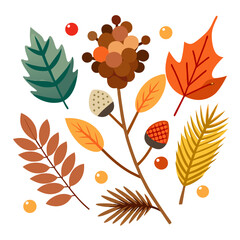 A collection of autumn elements including leaves berries acorns and pine needles