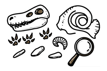 Ancient Artifacts Discovery: A hand-drawn illustration reveals a collection of ancient artifacts. Featuring a dinosaur skull, fossils, magnifying glass, and animal footprints.