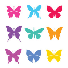 Obraz premium Colorful butterflies silhouette set. Beautiful animal in nature
