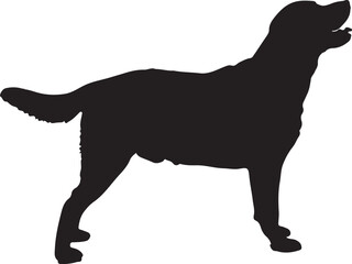 silhouettes of dogs, dog silhouette vector, animal, silhouette, vector, dog, horse, illustration, cat, mammal, pet, animals, nature, farm, black, art, cartoon, icon, wild, running, deer, design, silho