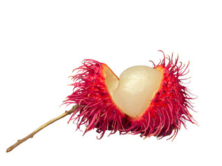 Partially Peeled Rambutan: Revealing White Flesh ( transparent background)