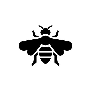 Black filled icon of a carpenter bee insect with broad body and buzzing wings