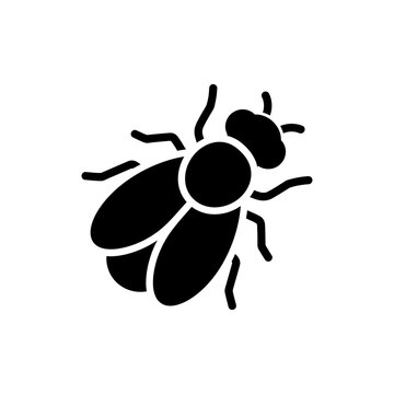  Cherry Fruit Fly Black Filled Icon Orchard Pest Theme
