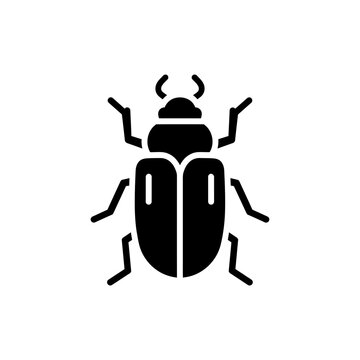 Beetle Bug Vector