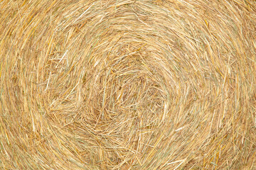 Texture Cool two bales of hay in the field. Close-up.