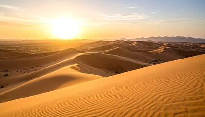 Golden desert sunset