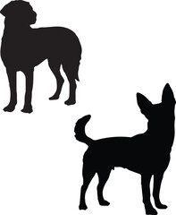 black silhouette of a dog