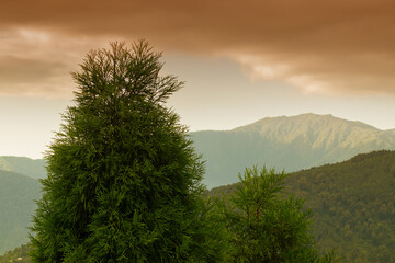 Scenic beauty of Green forests of Himalayan mountains, Okhrey, sikkim, India. Okhrey village is remote place in Sikkim where peaceful, tranquil Himalayan mountain range is enjoyed by tourists.
