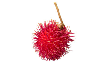 Single Red Rambutan Fruit Isolated ( Transparent Background)