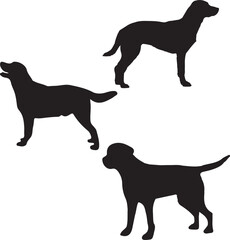 silhouettes of dogs, dog silhouette vector, animal, silhouette, vector, dog, horse, illustration, cat, mammal, pet, animals, nature, farm, black, art, cartoon, icon, wild, running, deer, design, silho