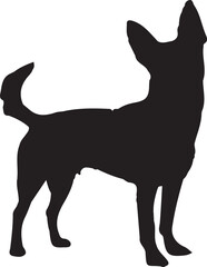 silhouettes of dogs, dog silhouette vector, animal, silhouette, vector, dog, horse, illustration, cat, mammal, pet, animals, nature, farm, black, art, cartoon, icon, wild, running, deer, design, silho