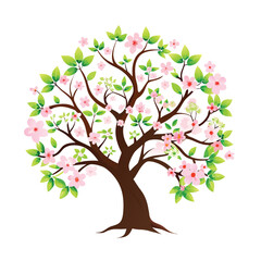 A vibrant spring tree with white apple blossoms, isolated on a white background