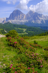 The Alta Via 1 crosses the impressive Giau Pass and offers spectacular views of the Cinque Torri, a paradise for hikers and mountain lovers.