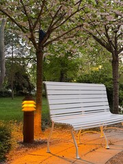 Beautiful evening in the park.