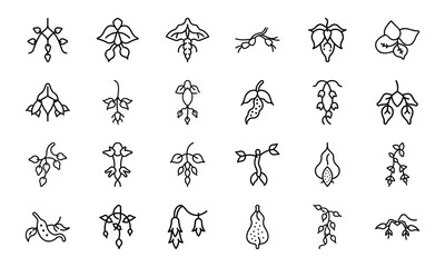 Bundle Hoya Carnosa Creeper Icon Silhouettes Style Whit 