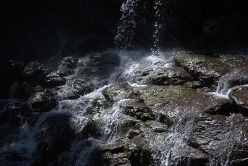 One of the most outstanding characteristics of Venezuela is its immense greenery, large jungles,...