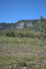 One of the most outstanding characteristics of Venezuela is its immense greenery, large jungles, forests and savannahs fill the territory.