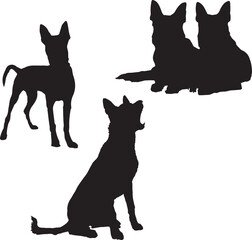 silhouettes of dogs, dog silhouette vector, animal, silhouette, vector, dog, horse, illustration, cat, mammal, pet, animals, nature, farm, black, art, cartoon, icon, wild, running, deer, design, silho