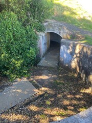 bridge in autumn