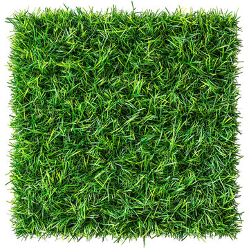 Artificial green grass turf square isolated on a transparent background remove Png, clipping path