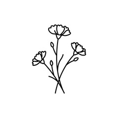 Outline of Bachelor Buttons Blooming Floral Drawing