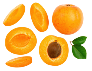Ripe apricots whole, halved, quartered and sliced with leaves on transparent background