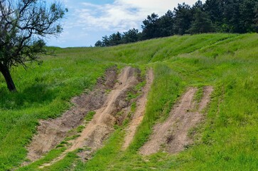 A dirt road with a tree in the background. The road is overgrown and has a muddy appearance