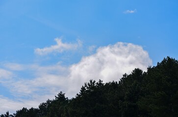 A blue sky with a few clouds and a few trees. The sky is clear and the trees are green
