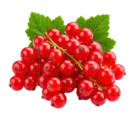 Bunch of fresh red currants with green leaves on transparent background