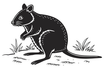 Fototapeta premium quokka sihouette black vector