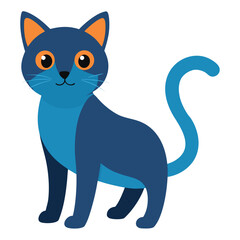 a cat on a white background