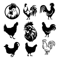 Cock Vector images