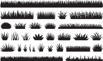 Black grass silhouettes various shapes and sizes nature plant