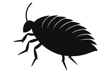 Silhouette illustration of a tiny booklouse insect on a clean white background